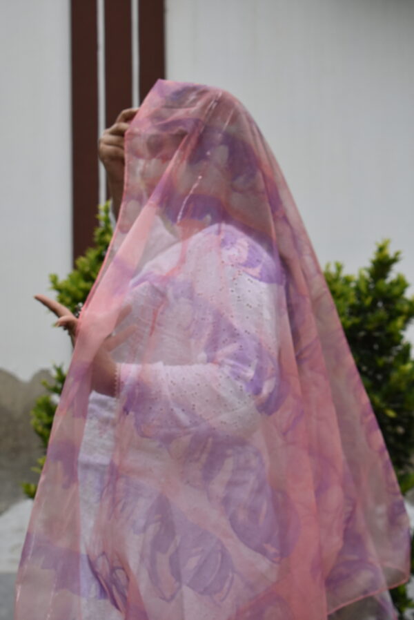 Pinky  Organza Pink Abstract Painted Dupatta