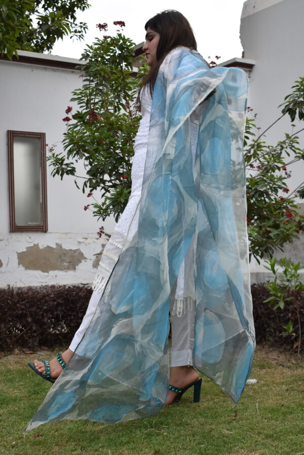 Circular Hand Painted Dupatta with 2 Shaded Circles