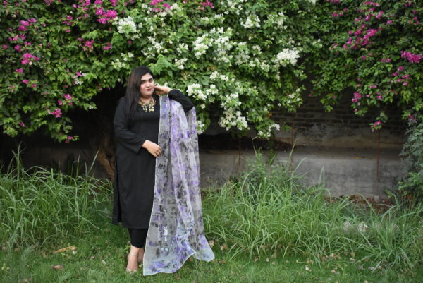 Morada Hand Painted Two Shaded Dupatta - Image 4