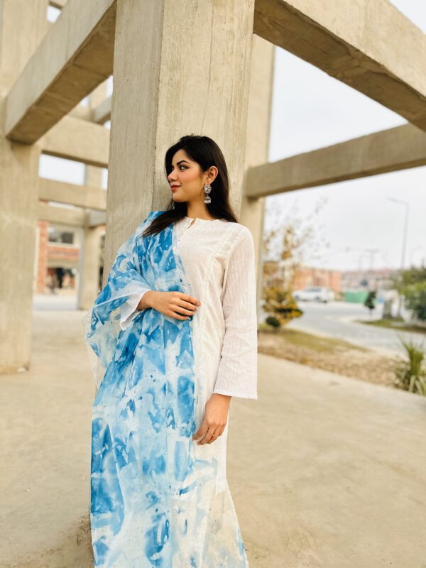 Samaa Organza Hand Painted Two Shaded Dupatta - Image 3