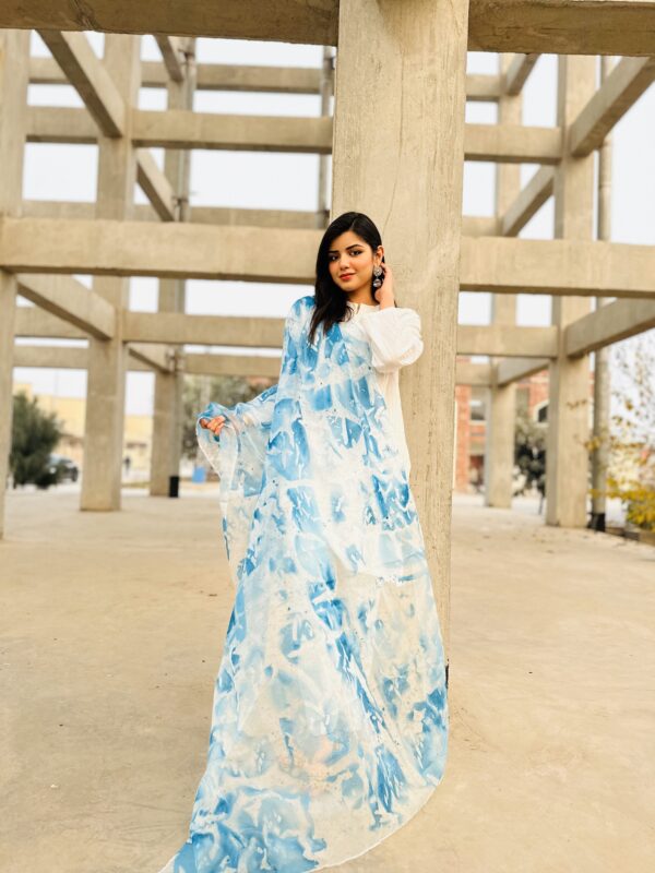 Samaa Organza Hand Painted Two Shaded Dupatta