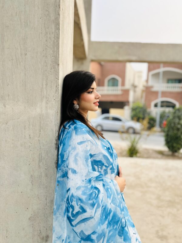 Samaa Organza Hand Painted Two Shaded Dupatta - Image 2