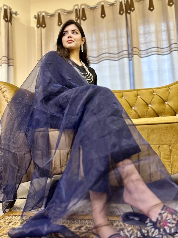 Navy Blue Dupatta Full of Silver Two Side Border - Image 4