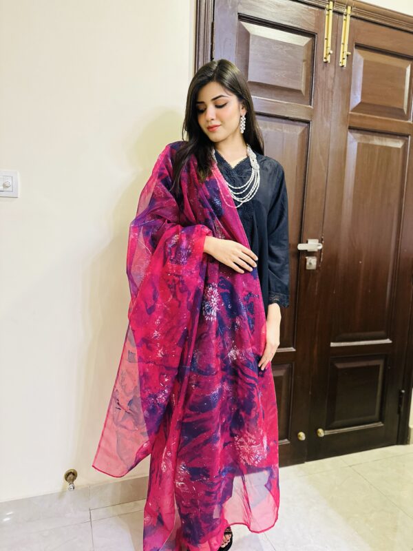 Rose Choquant Organza Hand Painted Two Shaded Dupatta