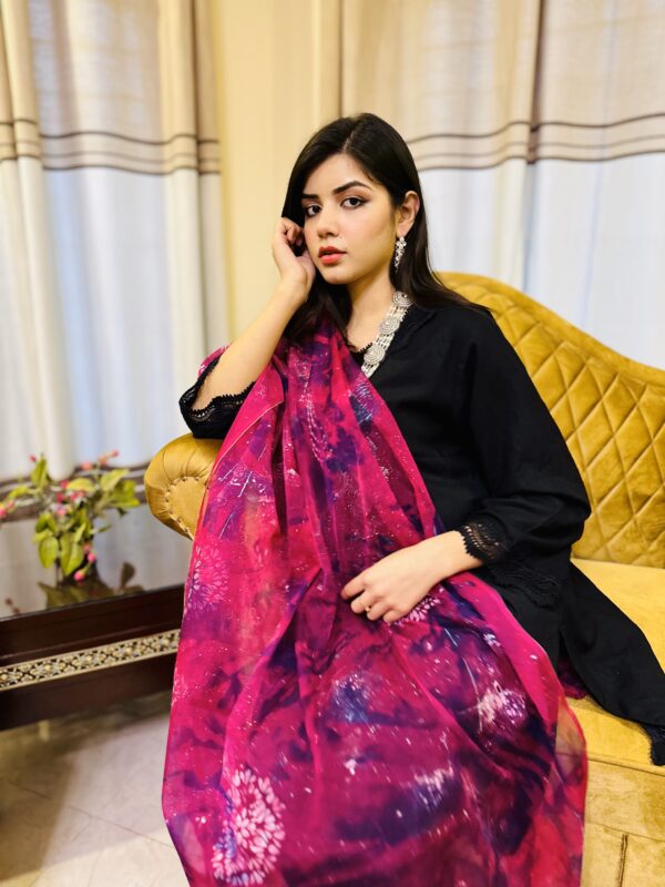 Rose Choquant Organza Hand Painted Two Shaded Dupatta - Image 2