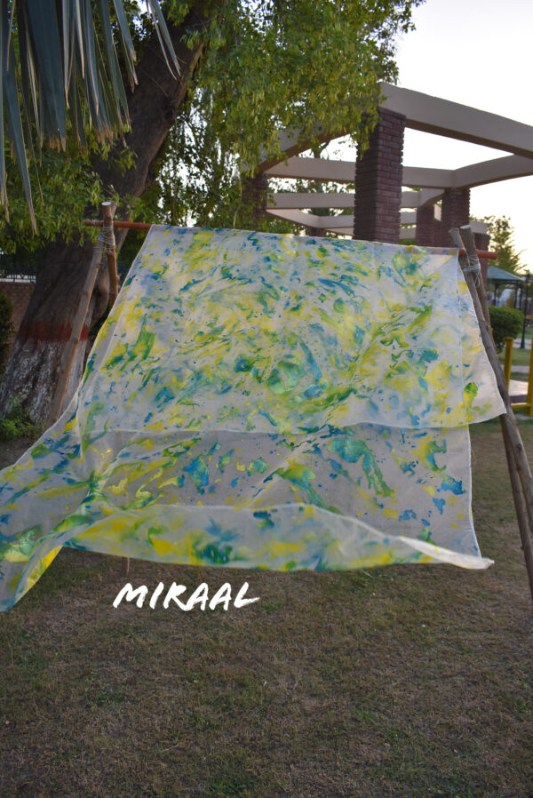 Lima Organza Hand Painted Three Shaded Dupatta - Image 4